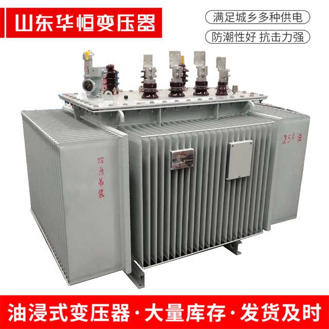 S13-10000/35潮南潮南潮南电力变压器厂家