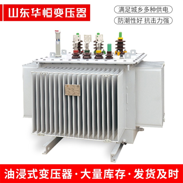 S13-10000/35潮南潮南潮南电力变压器