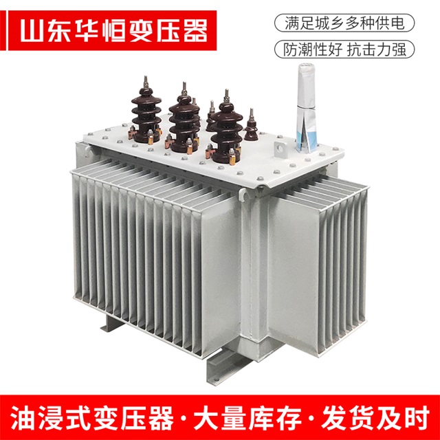 S13-10000/35潮南潮南潮南油浸式变压器厂家